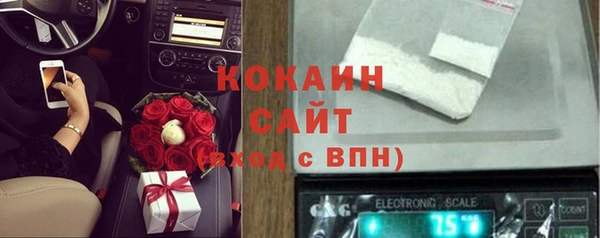 спайс Алексин